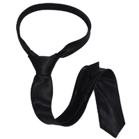 Costume Skinny Satin Tie