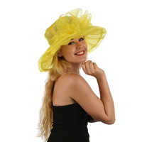 Organza Evening Hat Double Layered