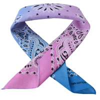 Tie Dye Paisley Print Cotton Bandana Pink Blue