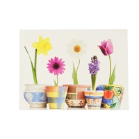 Greeting Card-Bloom Where You've Planted