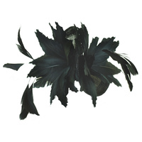Black Fascinator Feather Headband