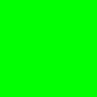 Green - Bright Green / Fluro Green