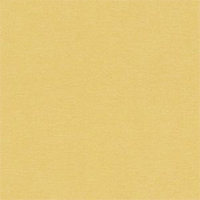 Yellow - Mustard Yellow
