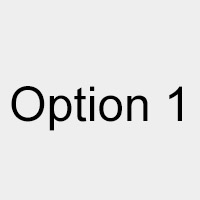 Option 1