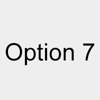 Option 7