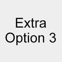 Extra Option 3