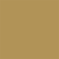 Copper Beige Camel