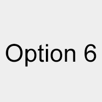 Option S6