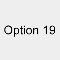 Option 19