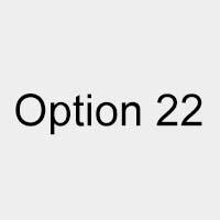 Option 22