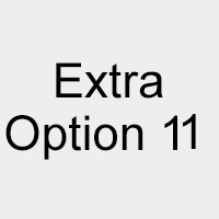 Extra Option 11