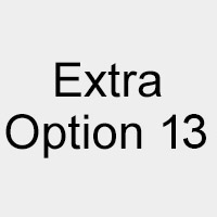 Extra Option 13