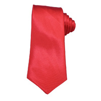 Costume Skinny Satin Tie | Deep Red