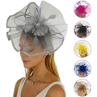 Melbourne Cup Fascinator 